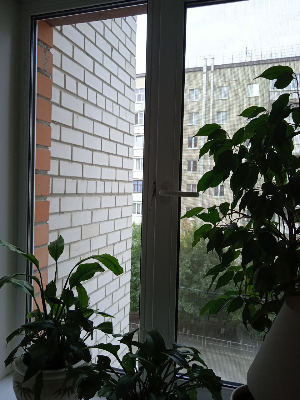 https://kurgan.delaem-okna.ru/storage/app/uploads/public/63f/332/8c0/63f3328c0408d690824237.jpg