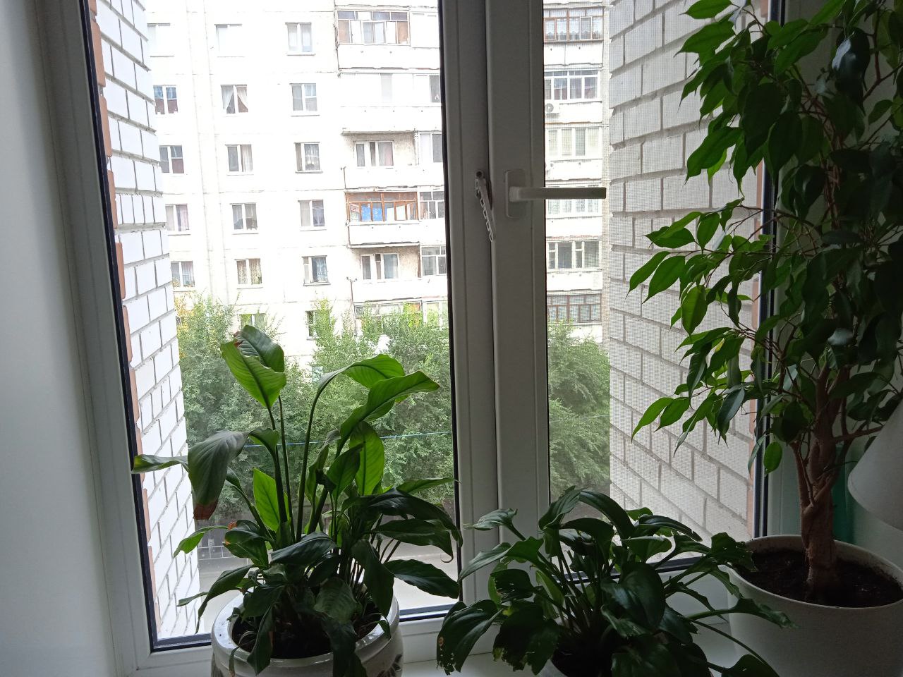 https://kurgan.delaem-okna.ru/storage/app/uploads/public/63f/332/8c0/63f3328c0d6f7867060515.jpg